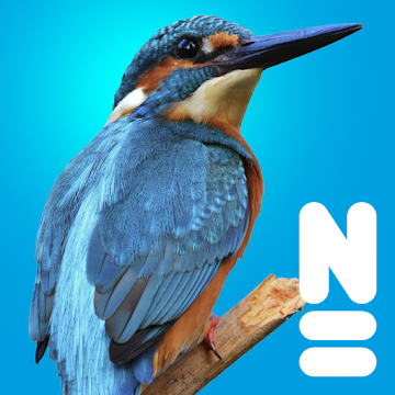 collins bird guide app android