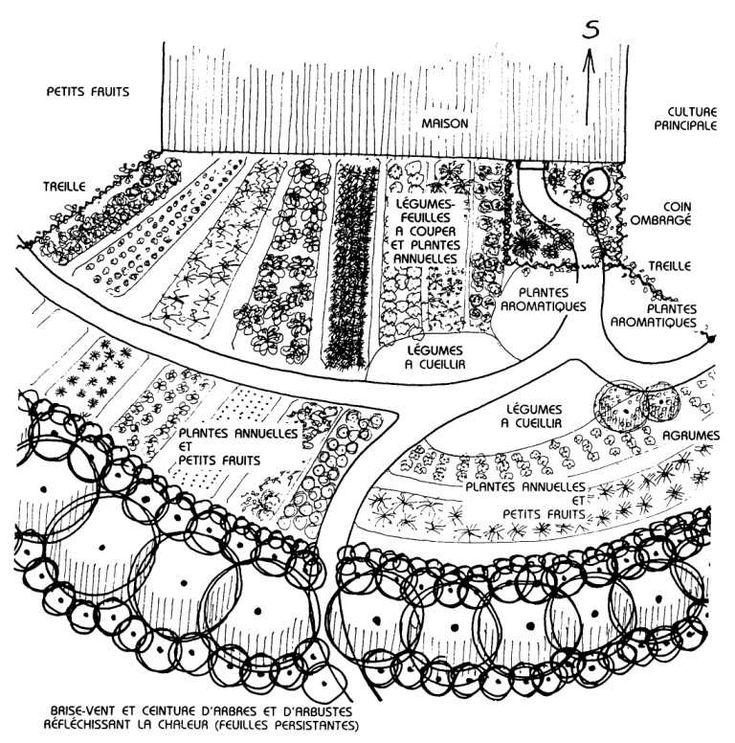 le guide de la permaculture urbaine pdf