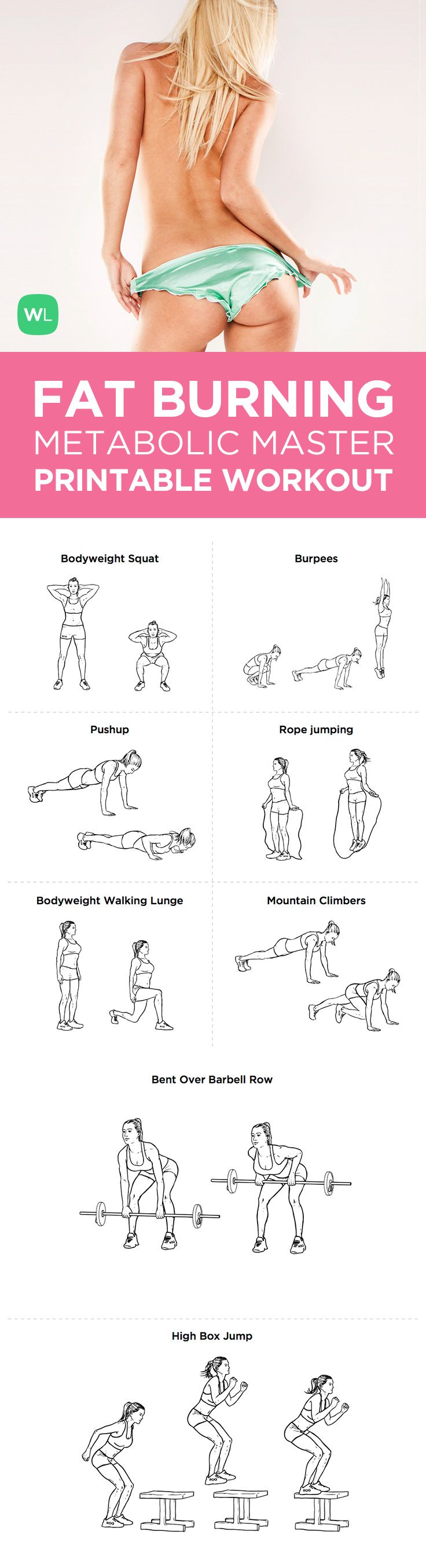 iron gym workout guide pdf