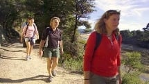 wilsons abel tasman guided walks
