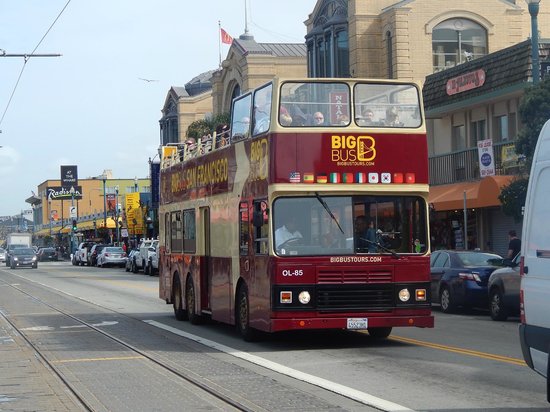 san francisco guided bus tours