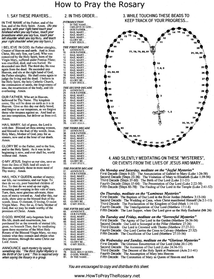 holy rosary prayer guide mysteries