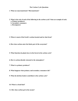 the raven study guide questions and answers